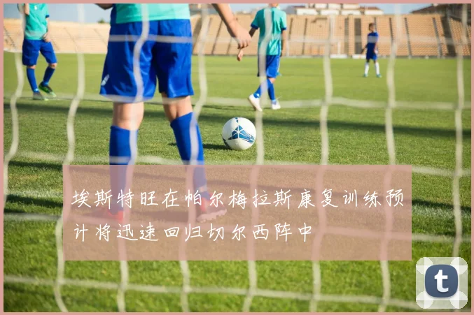 埃斯特旺在帕尔梅拉斯康复训练预计将迅速回归切尔西阵中