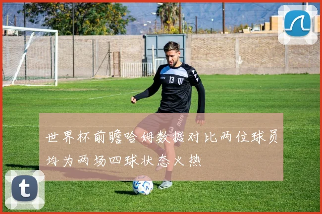 世界杯前瞻哈姆数据对比两位球员均为两场四球状态火热