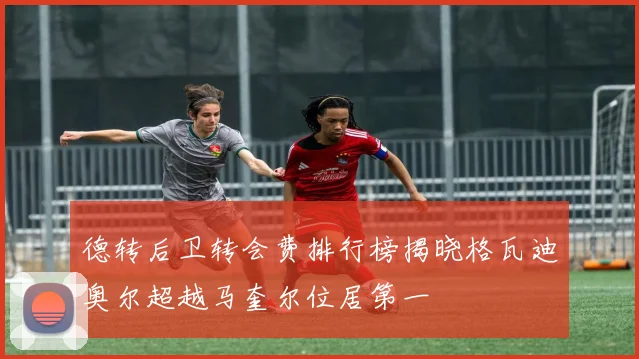 德转后卫转会费排行榜揭晓格瓦迪奥尔超越马奎尔位居第一